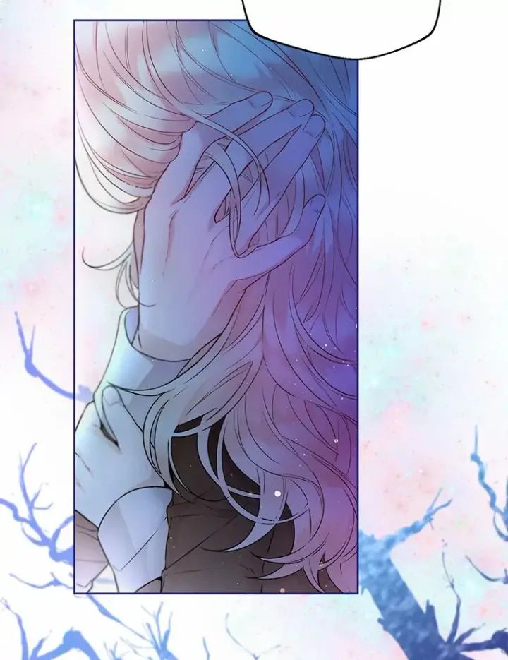 漫画《一不小心娶了女装大佬》1.他就是大公！第25张图