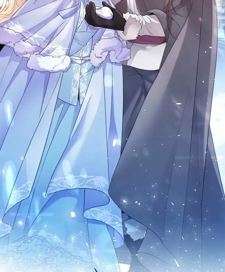 《一不小心娶了女装大佬》13.出门玩雪图60