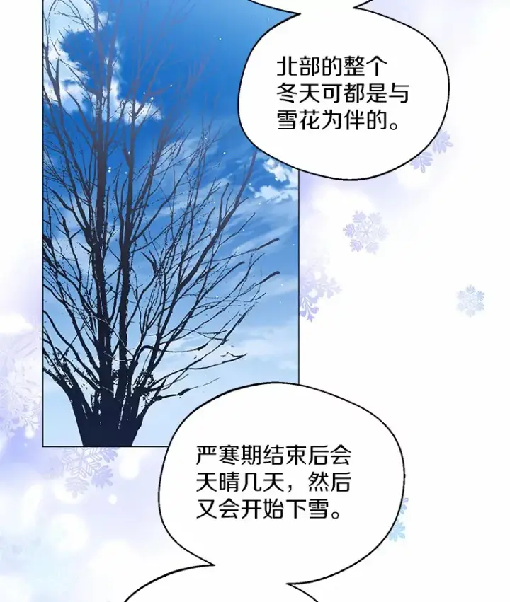 《一不小心娶了女装大佬》13.出门玩雪图66