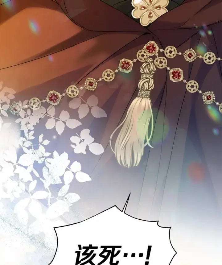 《一不小心娶了女装大佬》41.游园秀色图104