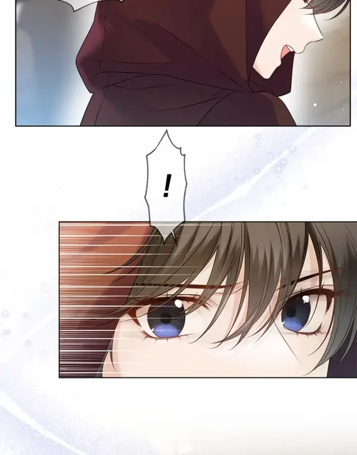 《一不小心娶了女装大佬》41.游园秀色图58