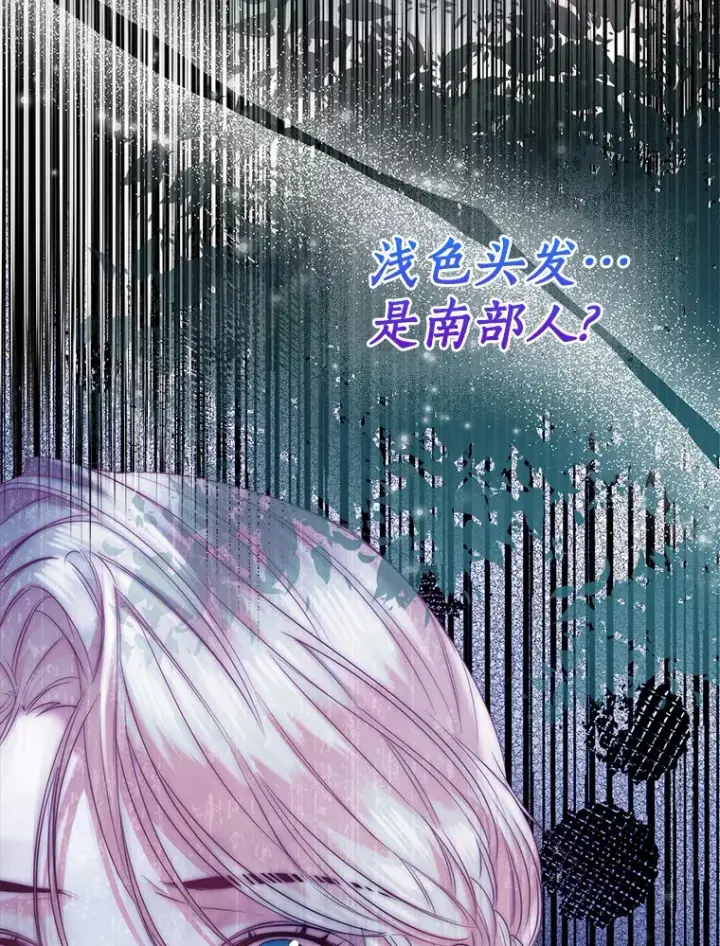 《一不小心娶了女装大佬》41.游园秀色图72