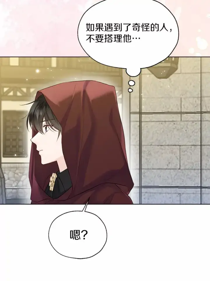 《一不小心娶了女装大佬》41.游园秀色图97