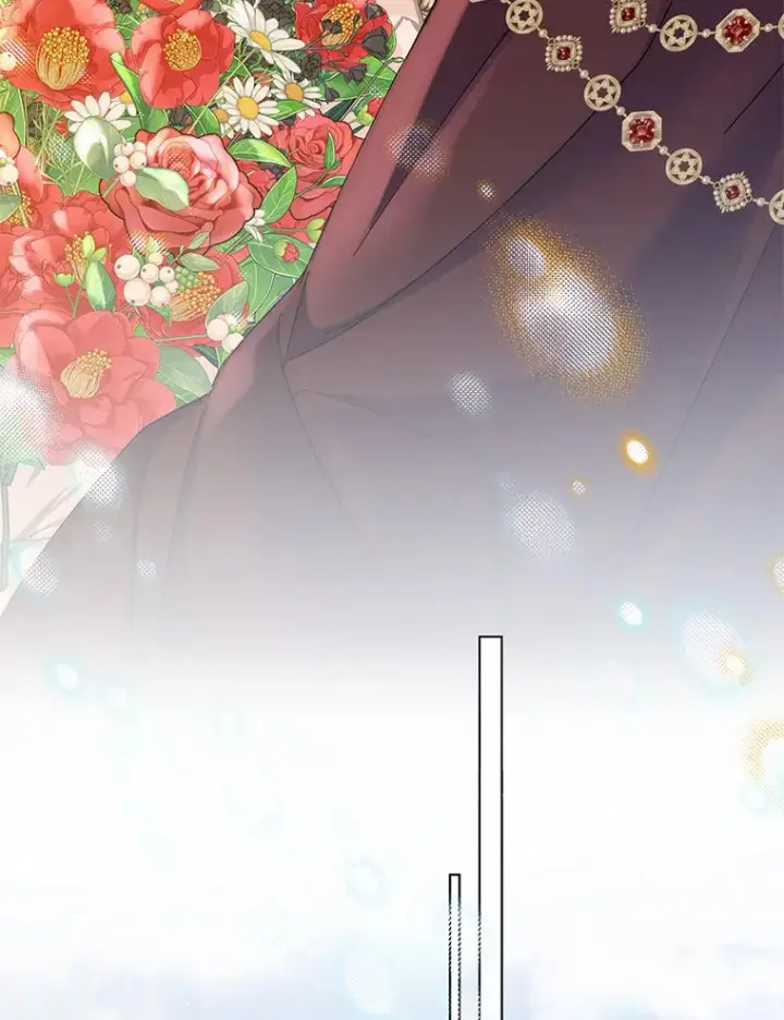 《一不小心娶了女装大佬》43.伊利安的秘密图105