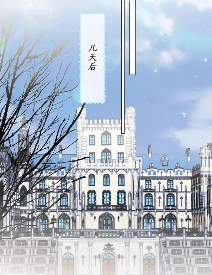 《一不小心娶了女装大佬》43.伊利安的秘密图106