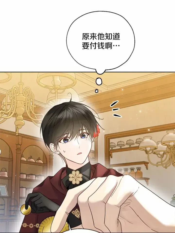 《一不小心娶了女装大佬》43.伊利安的秘密图46