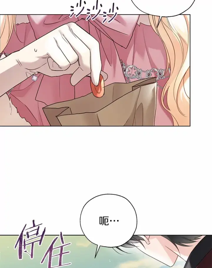 《一不小心娶了女装大佬》43.伊利安的秘密图73
