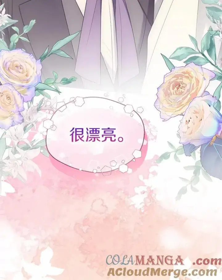 《一不小心娶了女装大佬》58.选您喜欢的图70