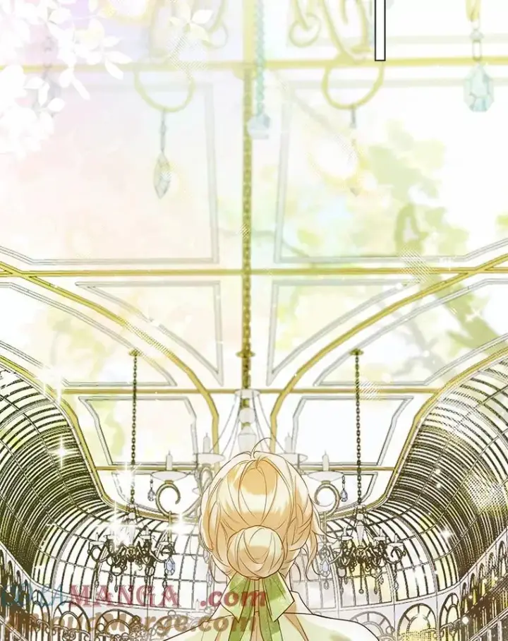 漫画《一不小心娶了女装大佬》65.那是儿时的记忆第89张图