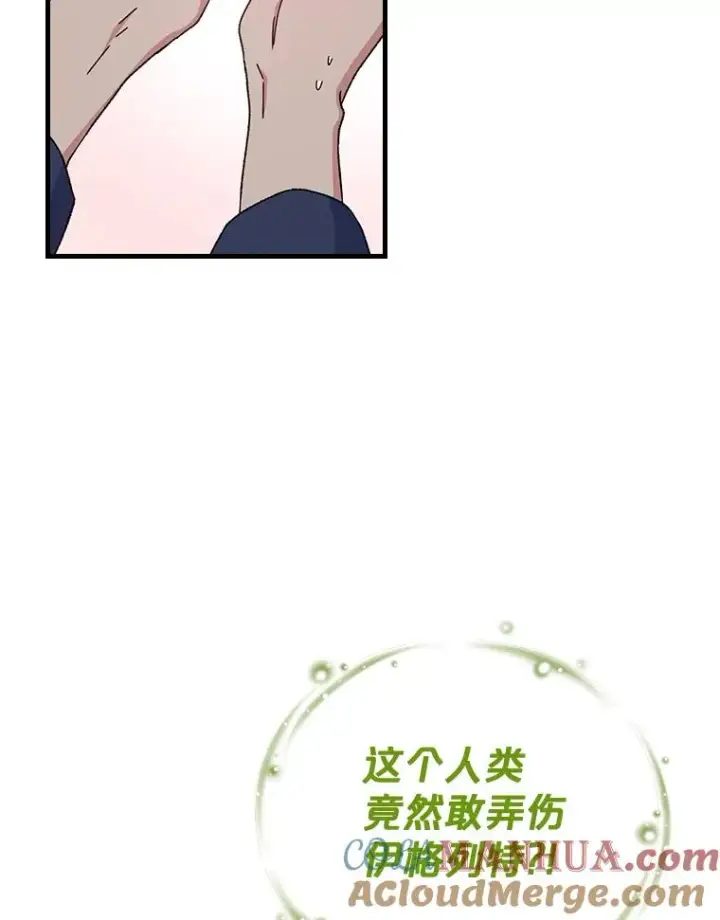 《伊格列特》4.伊桑·赫伊伽图10