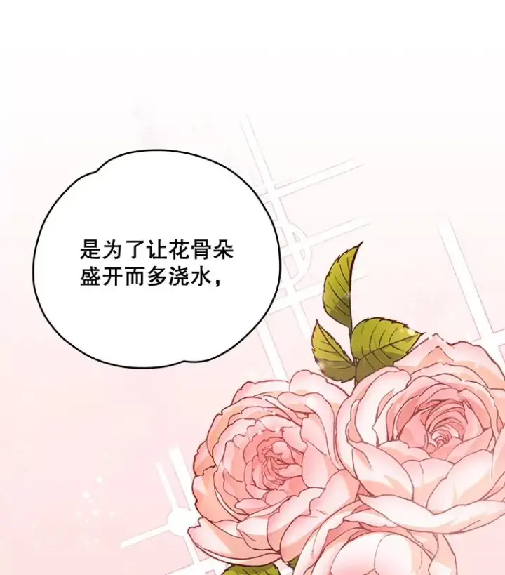 《伊格列特》27.阿贝尔图66