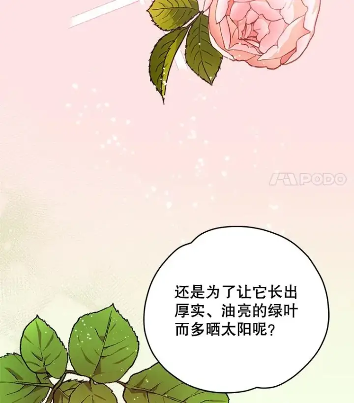 《伊格列特》27.阿贝尔图67