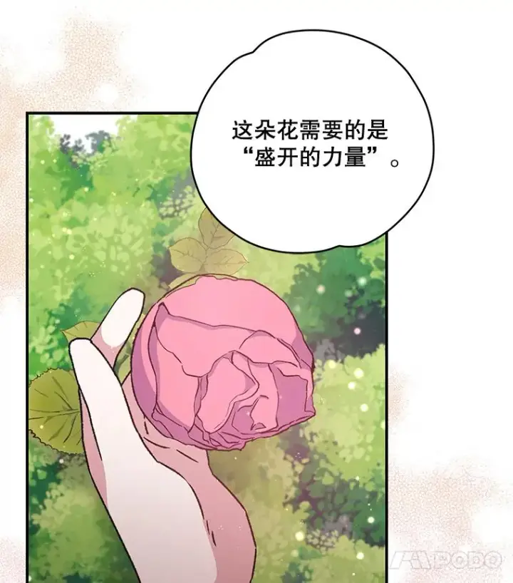 《伊格列特》27.阿贝尔图74