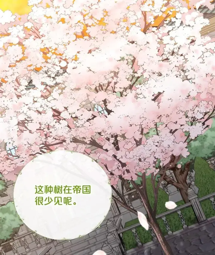 漫画《伊格列特》41.3皇子塞奇第94张图
