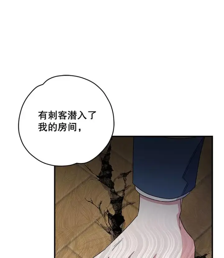 《伊格列特》42.刺客事件图10