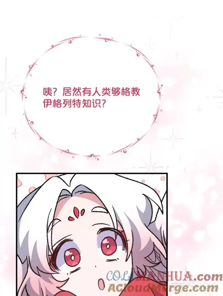 《伊格列特》50.科尔图21