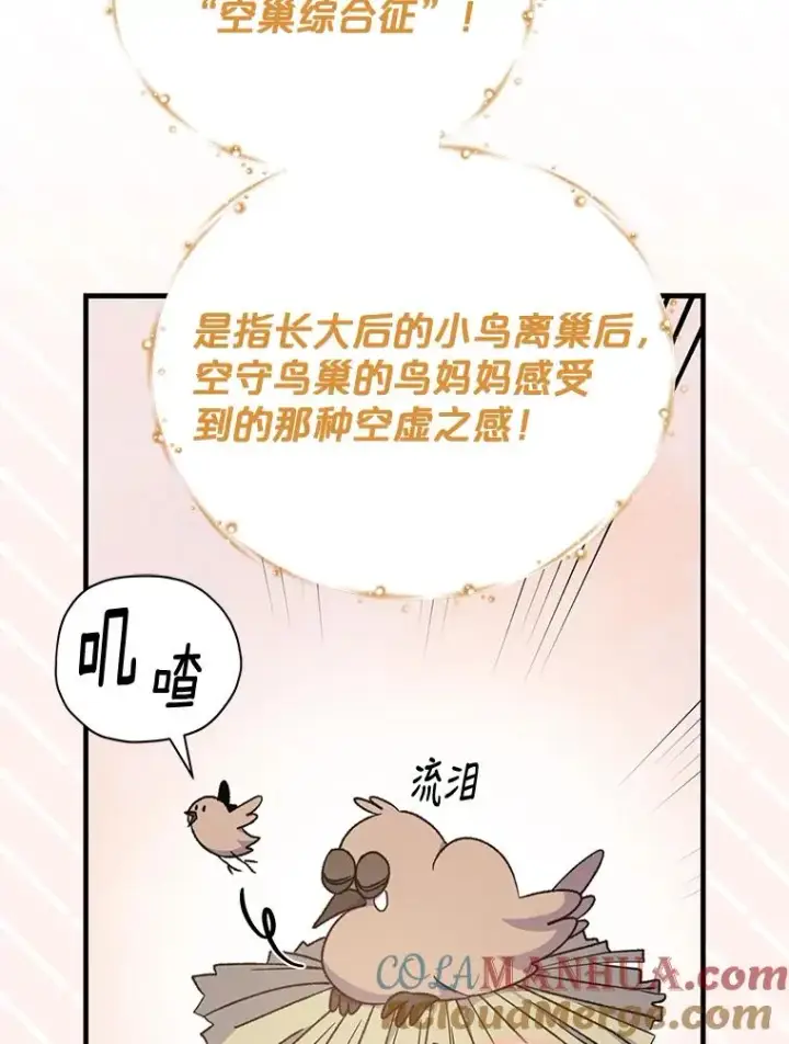 《伊格列特》50.科尔图97