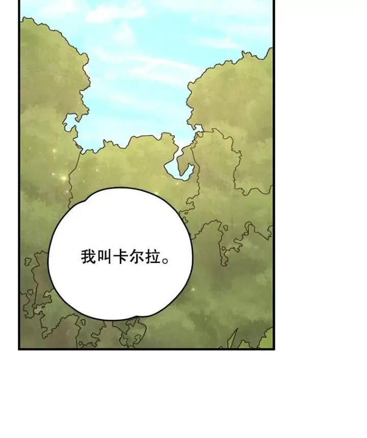 《伊格列特》79.精灵格布图48
