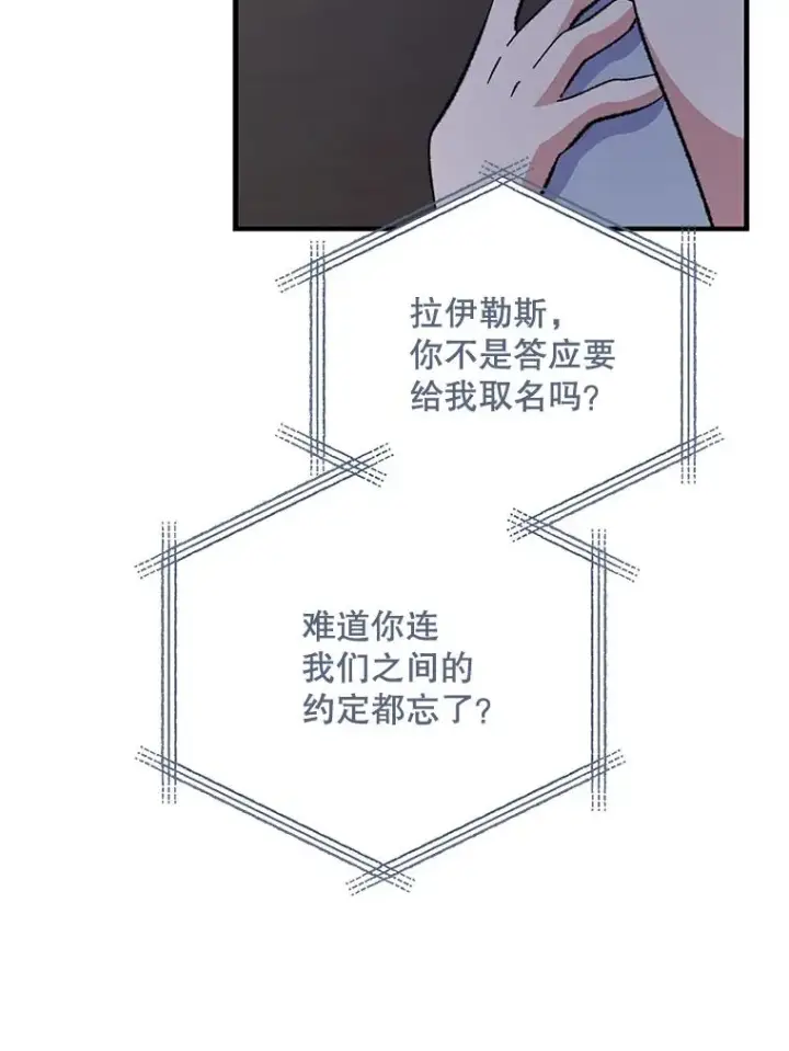 漫画《伊格列特》84.拉伊勒斯和露恩第26张图