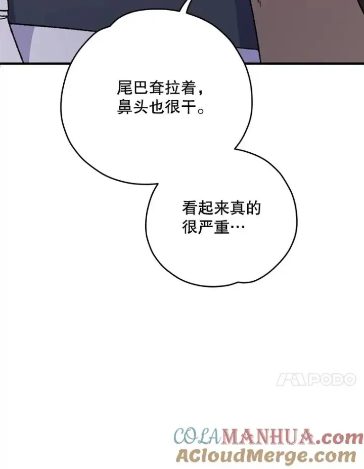《伊格列特》91.寻找千年仙人掌图49