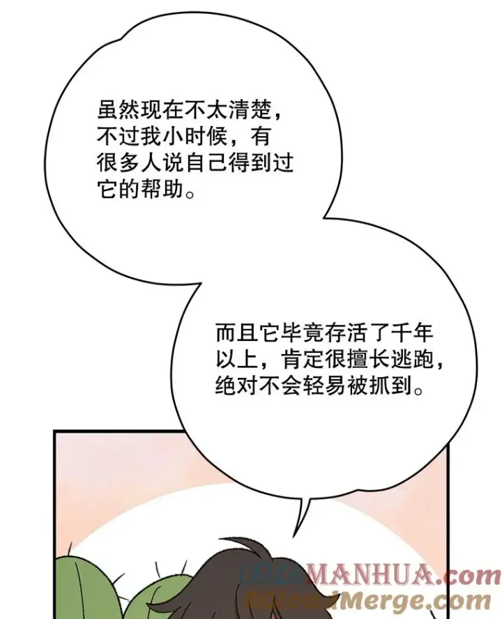 《伊格列特》91.寻找千年仙人掌图61