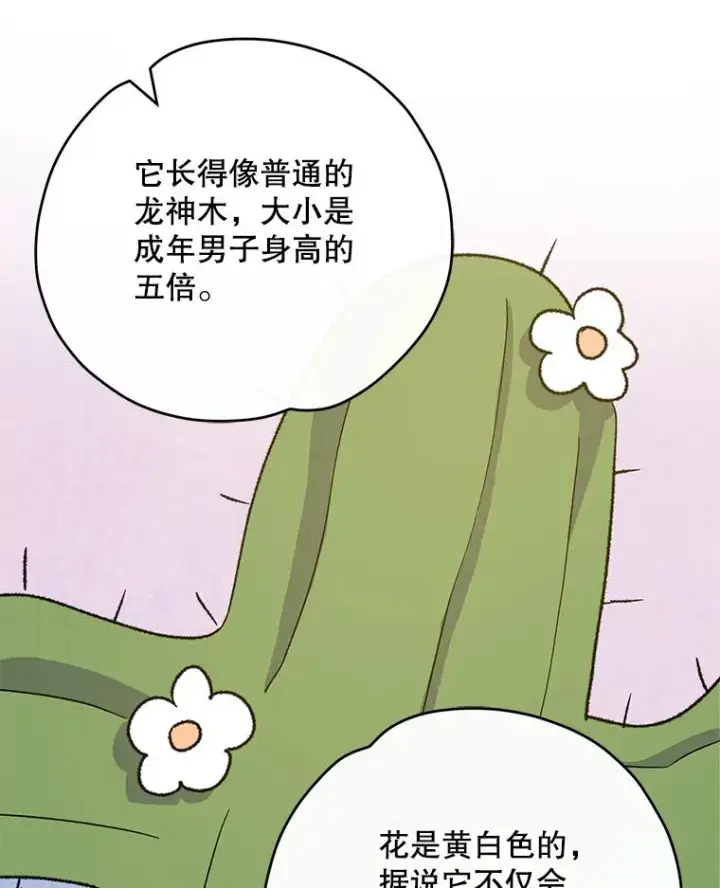 《伊格列特》91.寻找千年仙人掌图71