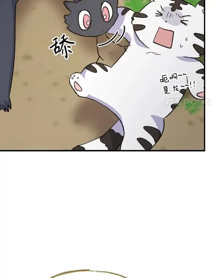 《伊格列特》99.白虎的苦衷图116