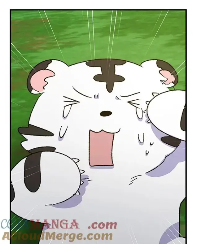 《伊格列特》99.白虎的苦衷图41