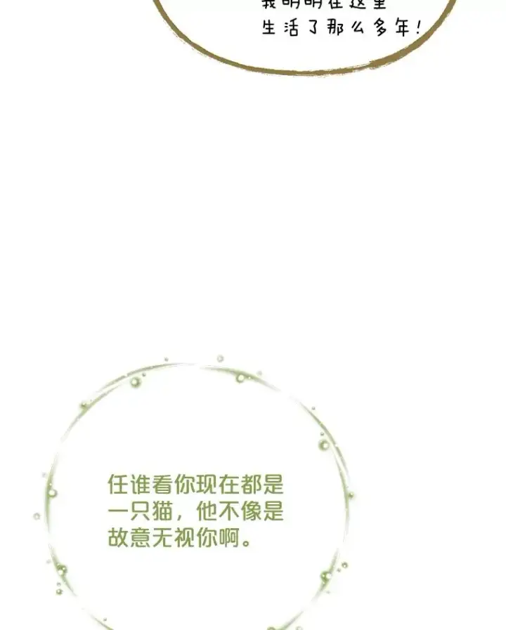 《伊格列特》106.青龙的安危图14