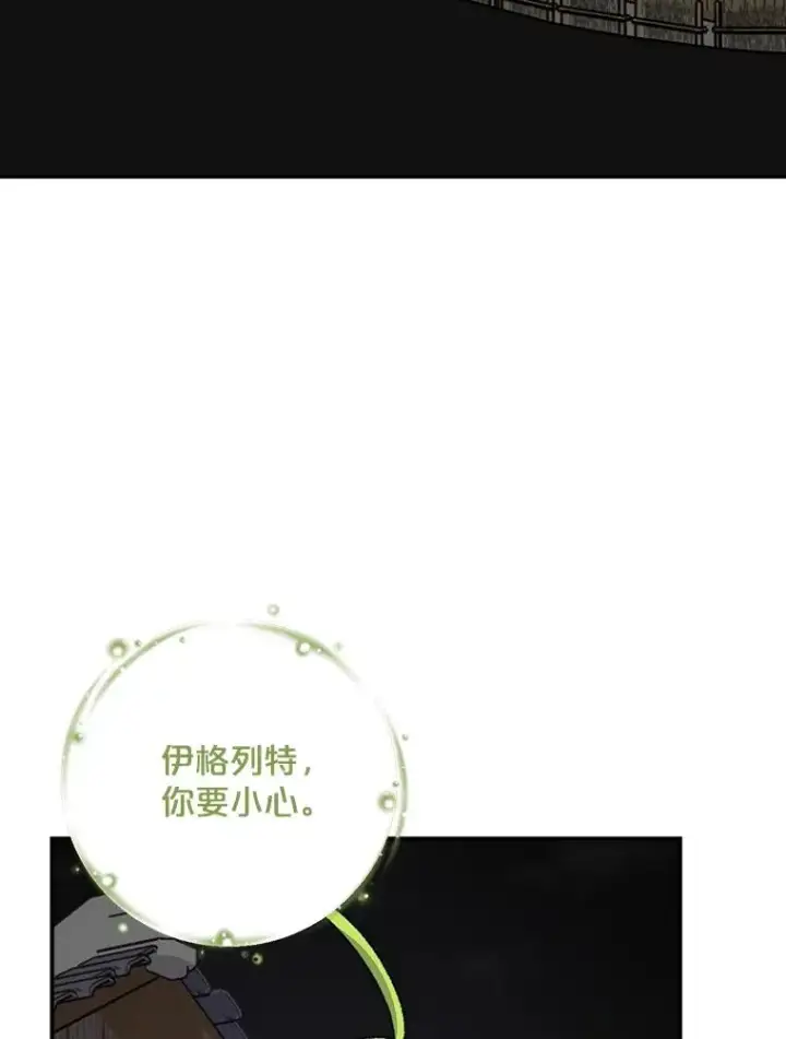 《伊格列特》114.大战一触即发图3