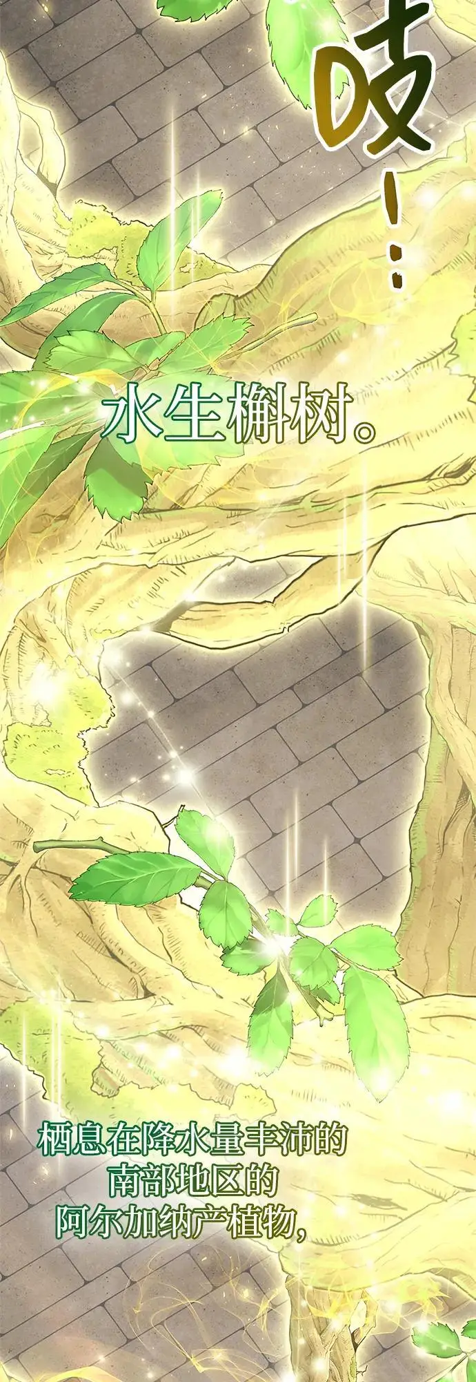 《隐瞒黑历史的玩家》第87话图38