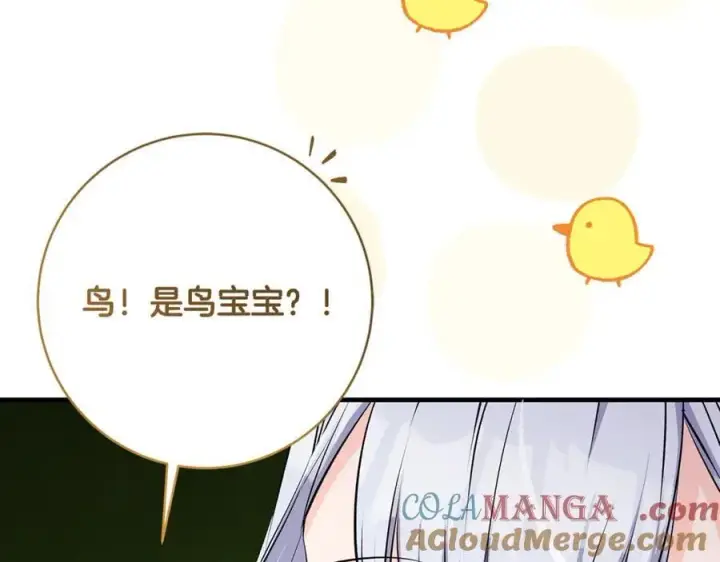 漫画《一切都在孩子脚下》第66话 一只小鸟的缘分第113张图