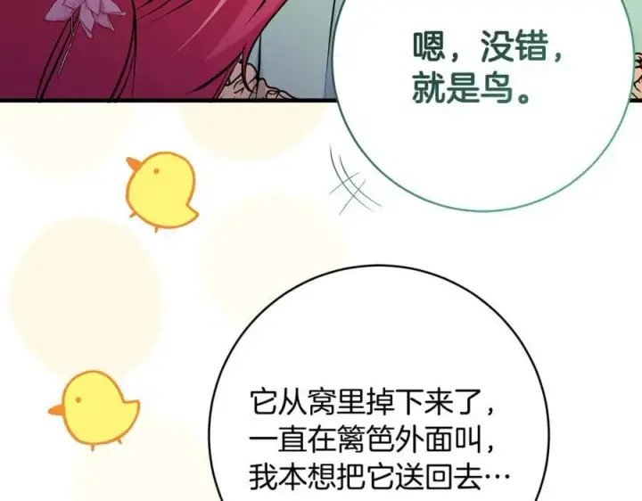 漫画《一切都在孩子脚下》第66话 一只小鸟的缘分第116张图