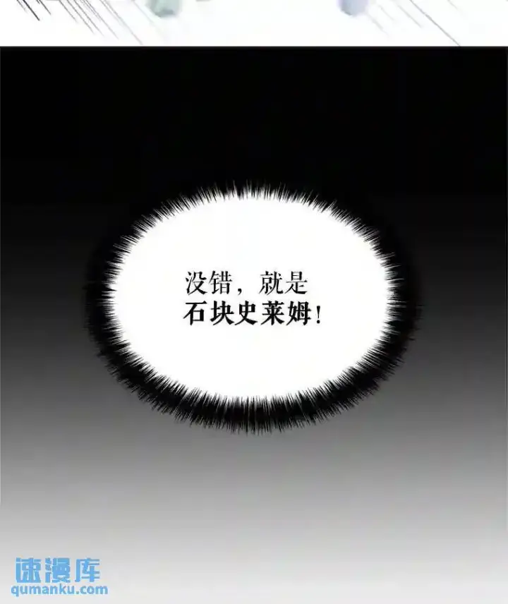 《勇士的圣剑升级路》34.双重身份图74