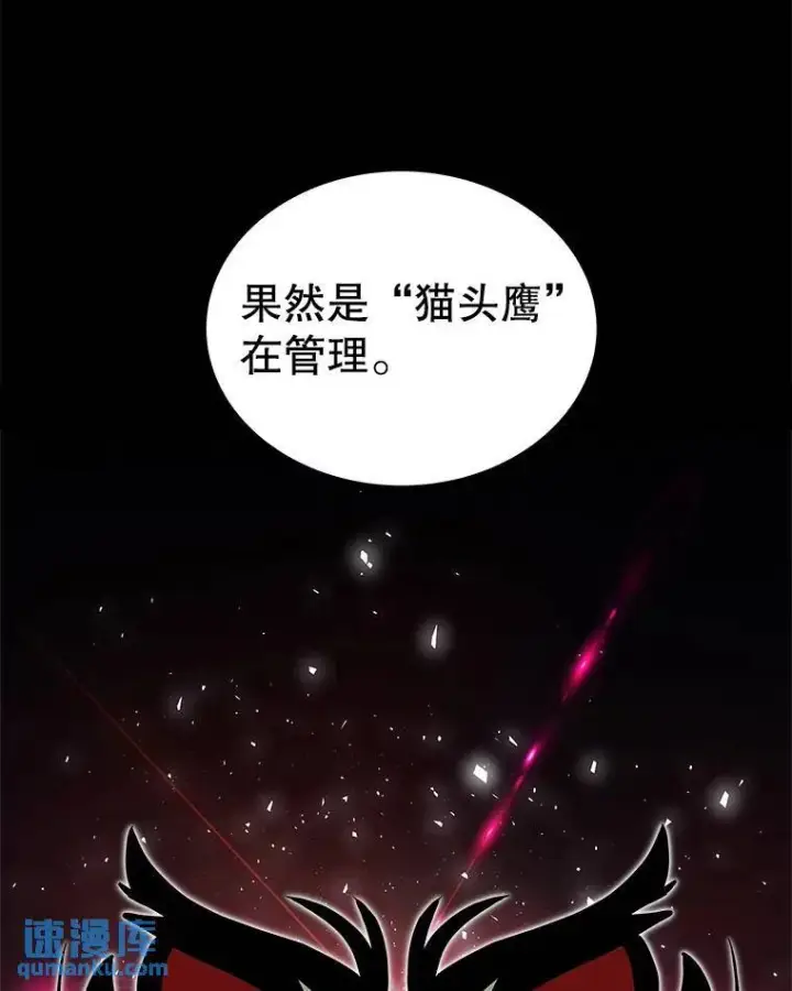 《勇士的圣剑升级路》64.黄金猫头鹰图35