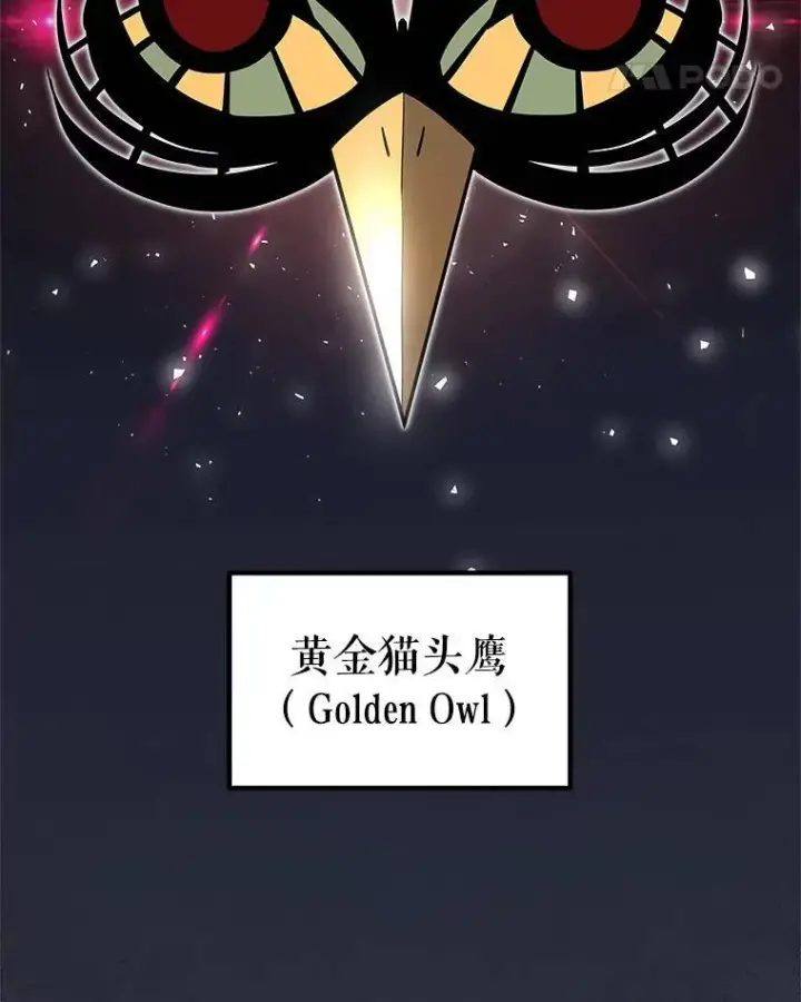 《勇士的圣剑升级路》64.黄金猫头鹰图36