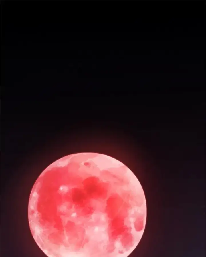 《勇士的圣剑升级路》81.变身吸血鬼图112