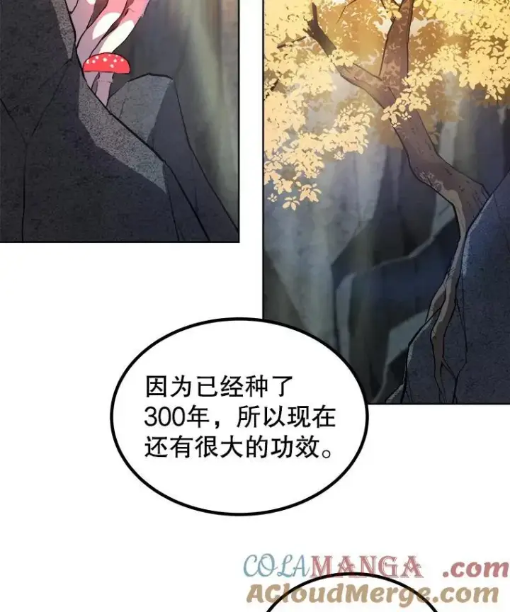 《勇士的圣剑升级路》92.遗产的真相图121