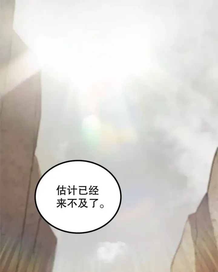 《勇士的圣剑升级路》109.幕后主使图2