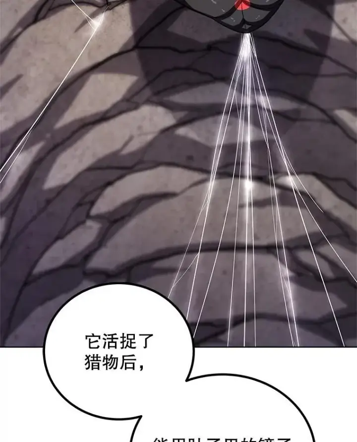 《勇士的圣剑升级路》112.复制体图38