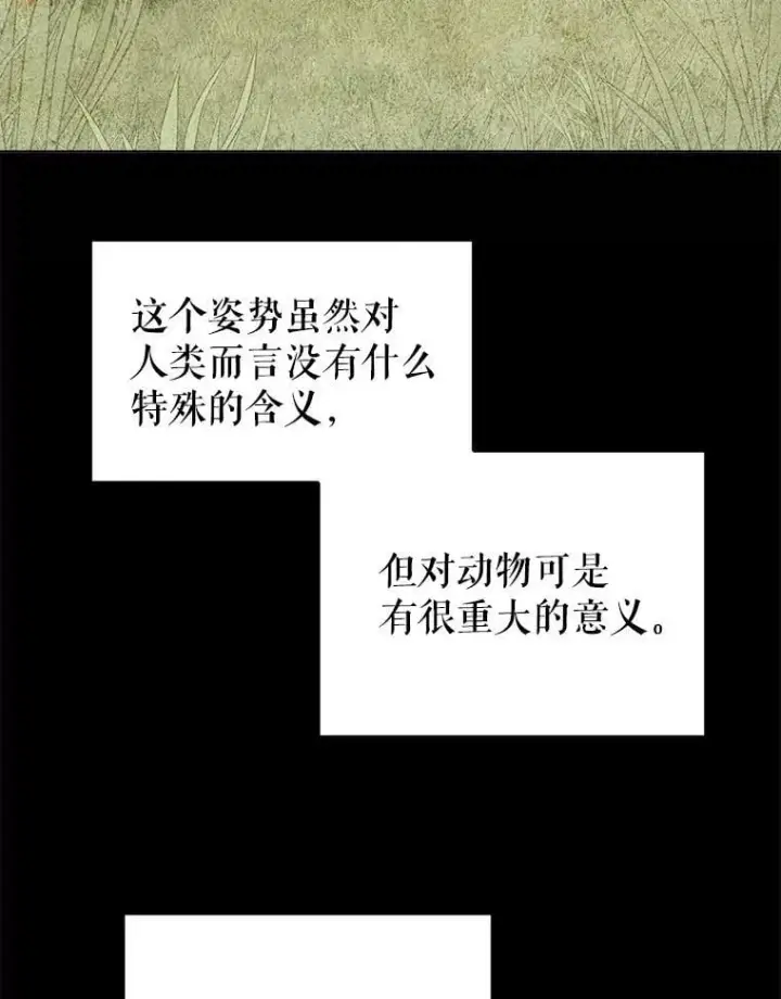 《勇士的圣剑升级路》124.可怕的姐姐们图20