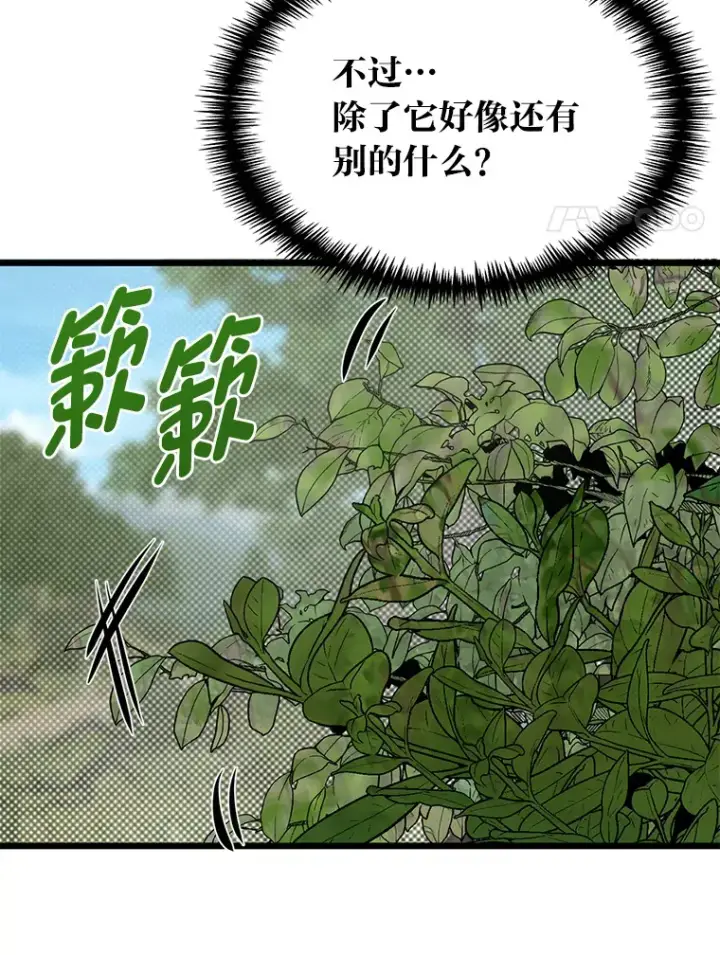 《勇士弟弟是学院老油条》28.屠龙新星图8