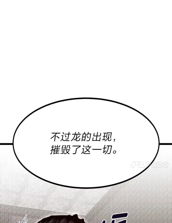 《勇士弟弟是学院老油条》36.雷光龙封印石图81