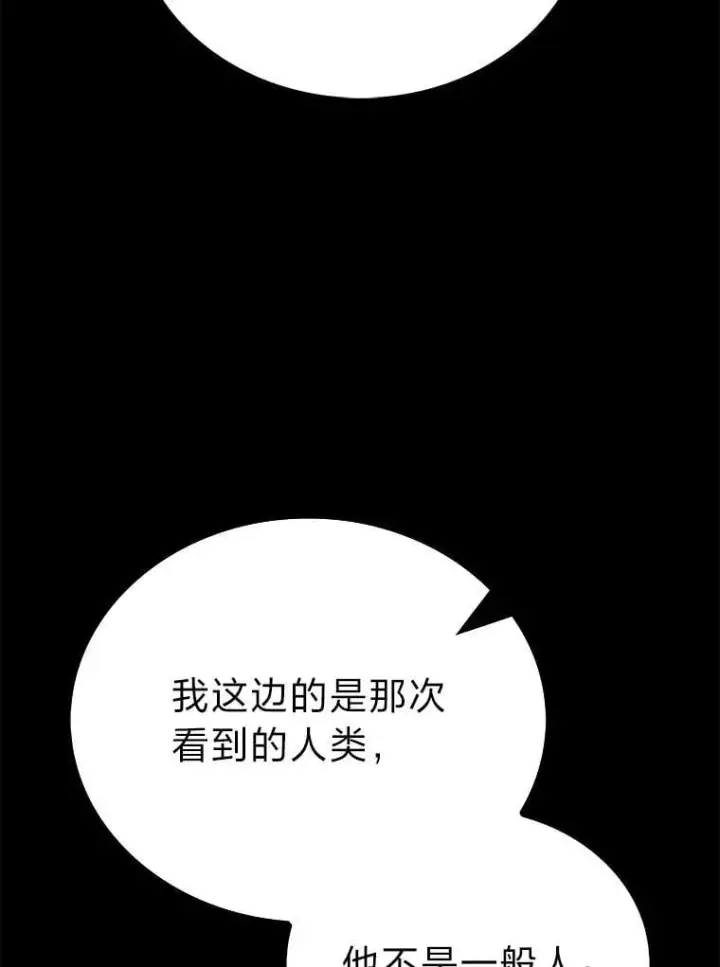 《勇士非也, 魔王是也》82.云之双子图118