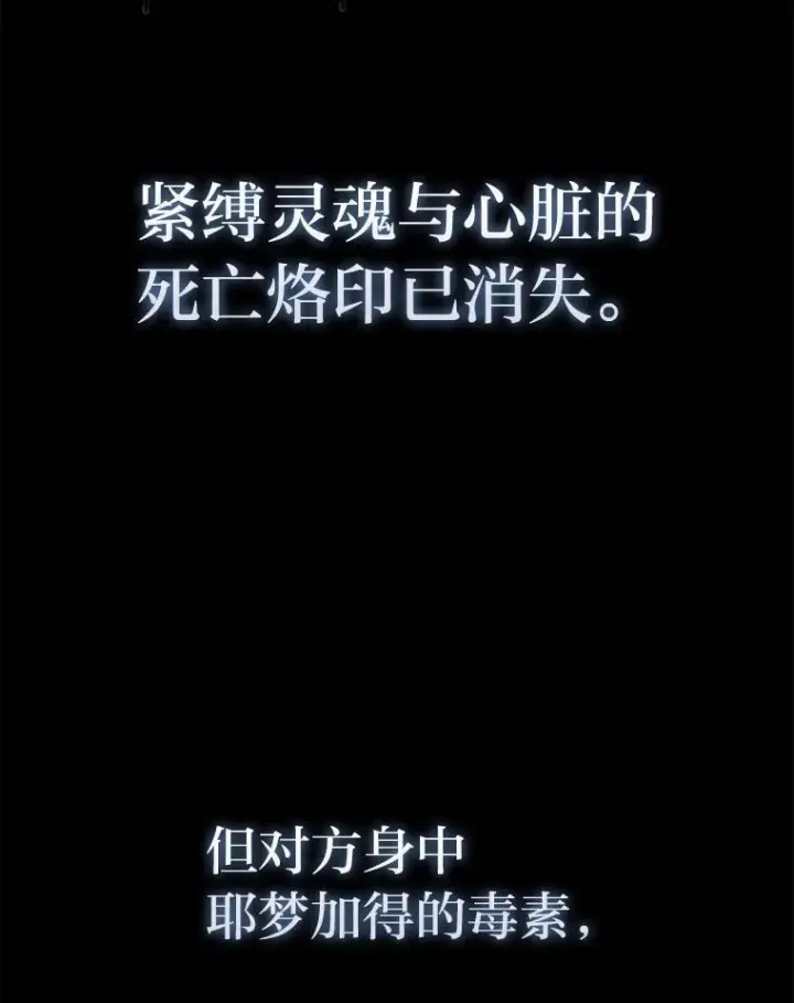 《勇士非也, 魔王是也》96.远征队的胜利图28