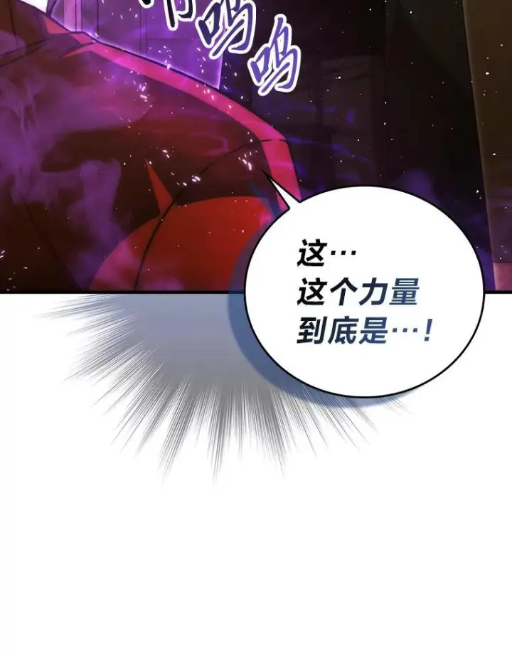 《勇士非也, 魔王是也》96.远征队的胜利图99