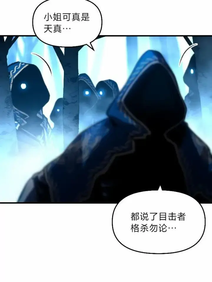 《有才能的魔法师》27.闪亮登场图40