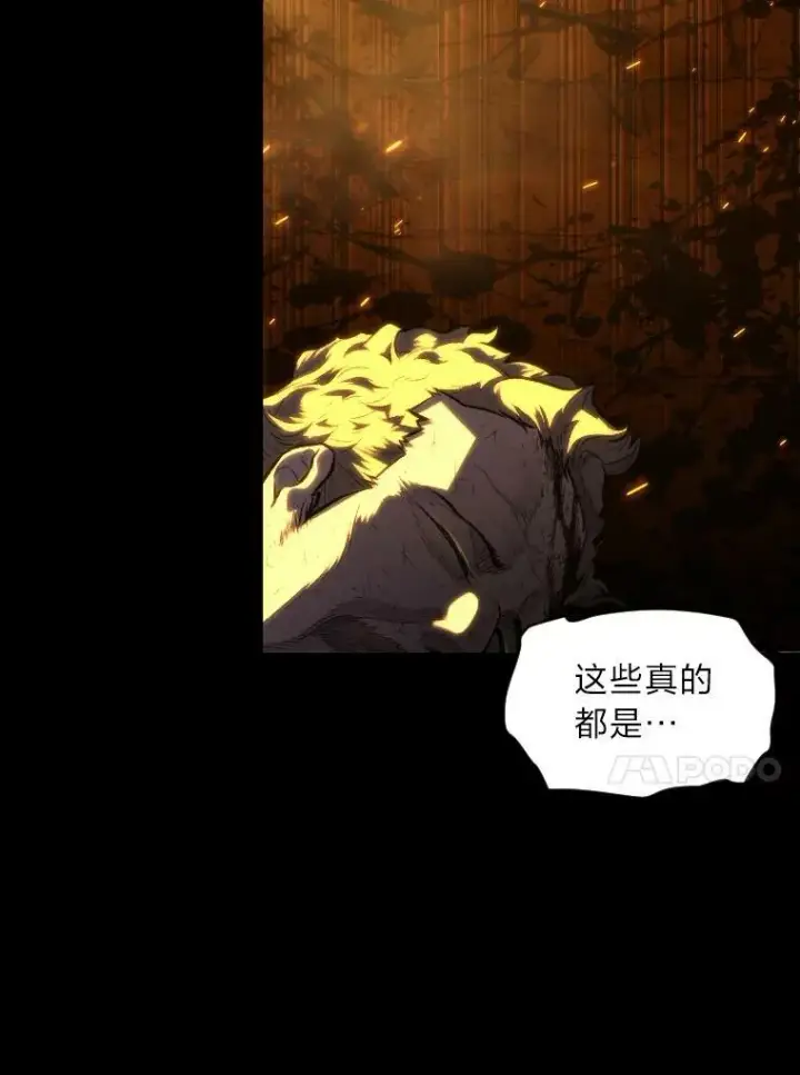 《有才能的魔法师》30.青狼的恶行图44