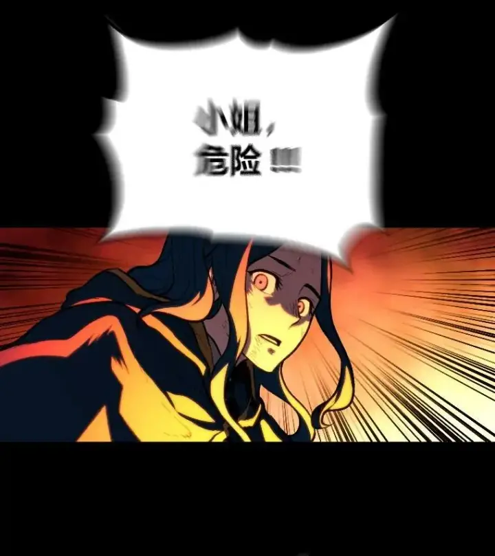 《有才能的魔法师》30.青狼的恶行图46