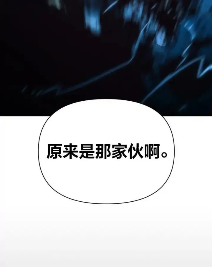 《有才能的魔法师》32.孤注一掷图95